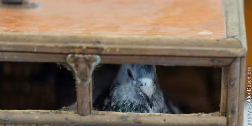 PLACE. Creative Health, Communities and Cultural Heritage