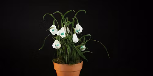 Paper Flowers Workshop - Snowdrop