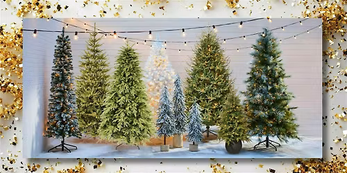 Festival of Trees with Christian Singles