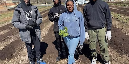 Volunteer & Learn To Grow Organic Vegetables At Asawana Farms