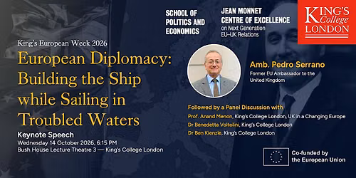 European Diplomacy: Building the Ship while Sailing in Troubled Waters