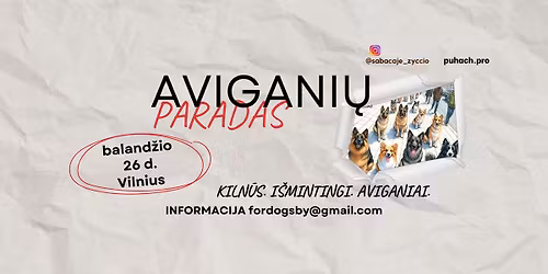 AVIGANI\u0172 PARADAS 2026 Vilniuje!