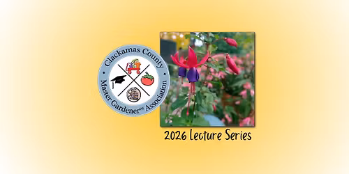 Hardy Fuchsias, Jewels of the Garden