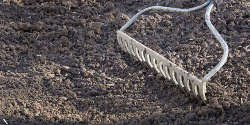 Garden Soil Preparation: Laying the Foundation for Success