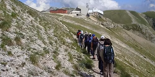 PER UN ACCOMPAGNATORE DI SUCCESSO