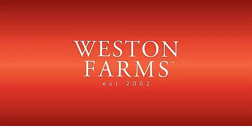 Create a Holiday Centerpiece with Weston Farms