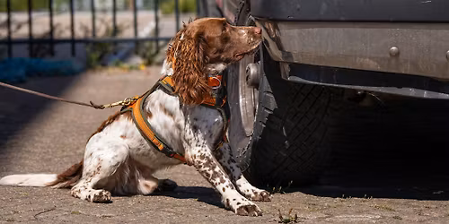 Masterclass Detectie: Controle over de alert 