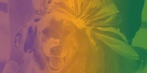 Carnival Dog Parade and Costume Contest