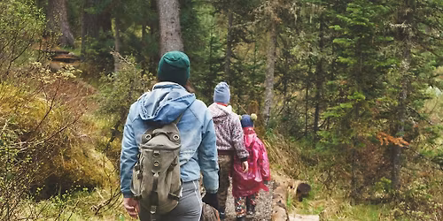 Forest Fitness Spring Hike: Family Program (All Ages), $4 per person
