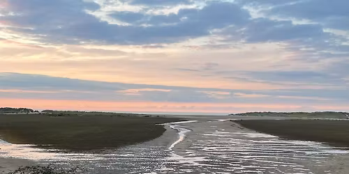 Norfolk, Holkham, Wild Food Foraging Walk\/Course