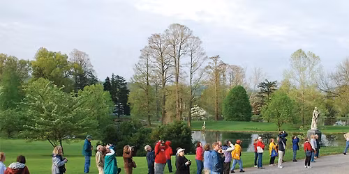 Early Morning Bird Walk