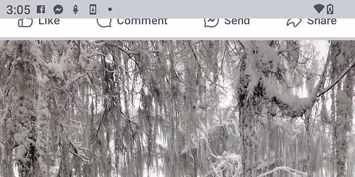 Family & Friends Carnival Cruise Celebration