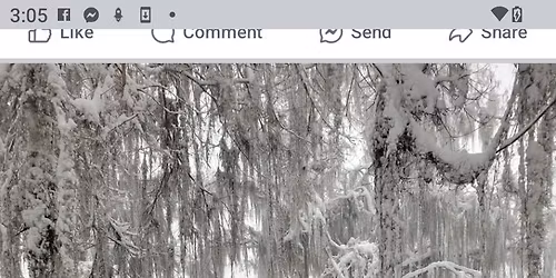 Family & Friends Carnival Cruise Celebration