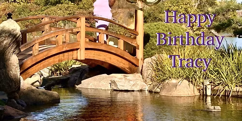 Tracy's 60th Day Party