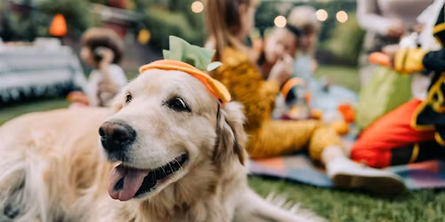 Fairmont Washington D.C., Georgetown's 14th Annual Howl-O-Ween