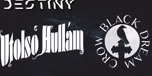 Black Snow Dark Night