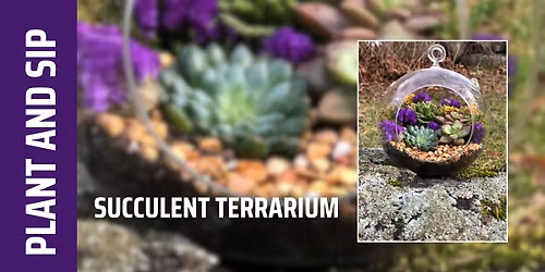 Plant and Sip \u2013 Succulent Terrarium (Norwalk)