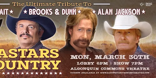Megastars of Country - Tribute