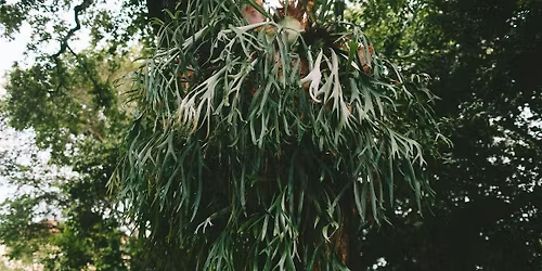 Being From This Planet: A Poetry Workshop