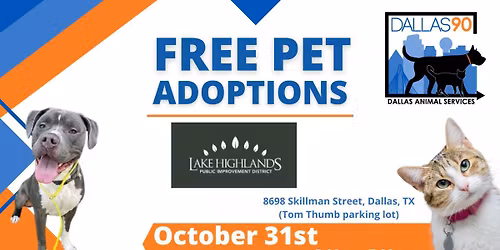 District 10 Trunk or Treat