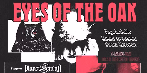 EYES OF THE OAK \/\/ Bastard Bar