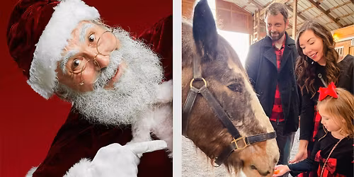Santa in the Stables w\/ Pints & Ponies + Hot Chocolate Bar