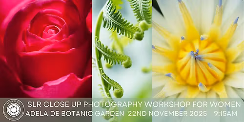 Close Up SLR Photography Workshop for Women