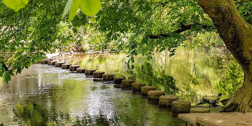 Box Hill , Stepping stone and Surrey Hills AONB