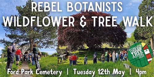 Wildflower & Tree Walk with the Rebel Botanists - Ford Park Cemetery