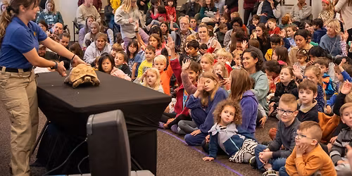 Monkey See, Monkey Do Animal Show \ud83d\udc12\u2728