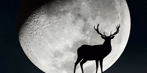 Full Moon Guided Meditation and Sound Healing