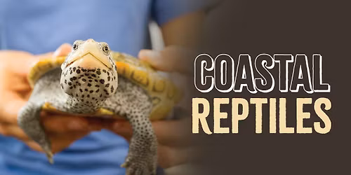 Coastal Reptiles