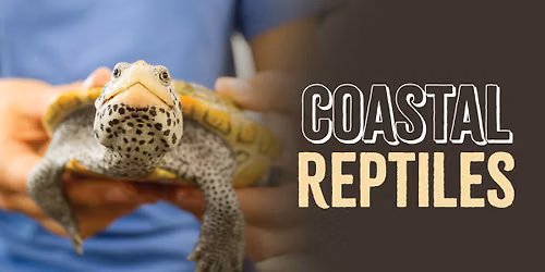 Coastal Reptiles