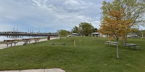 Greilickville Harbor Park Sketch outing