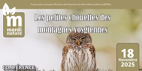 Conf\u00e9rence Mardi Nature: Les petites chouettes des montagnes vosgiennes
