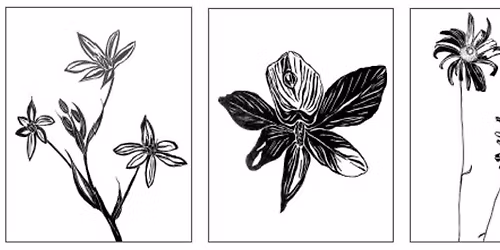 Bodacious Botanicals