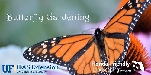 Butterfly Gardening