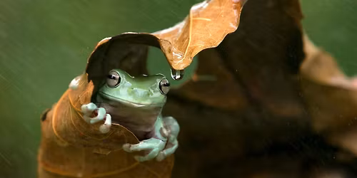 kundalini yoga class