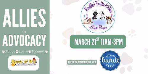 Allies In Advocacy: Noelle\u2019s Foster Kittens