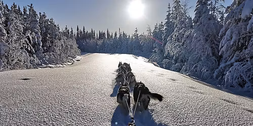 Small Animal Alaskan Mushing CE Experience - 5 Days of Lectures, Case-Discussions & Mushing
