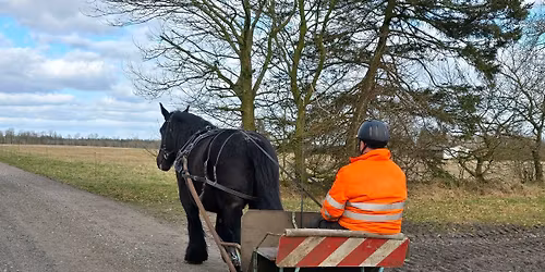 pittstop k\u00f8re trail st\u00e6vne