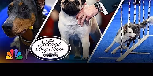 National Dog Show Bus Trip