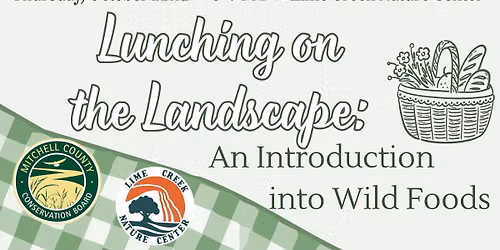 Lunching on the Landscape: An Introduction to Wild Foods