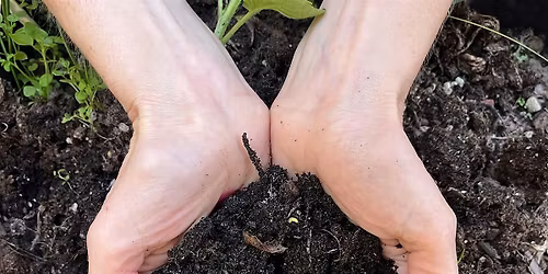 Coltivare bellezza | laboratorio di gesto poetico