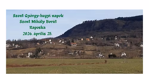 Szent Mih\u00e1ly Bor\u00fat