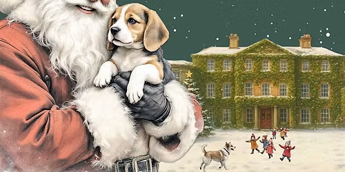 STALL BOOKINGS Santa Paws  In The Courtyard