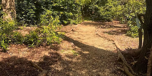 Wilderness Soundbaths