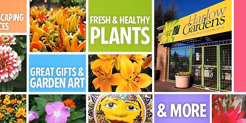 Make & Take Mother's Day Gift