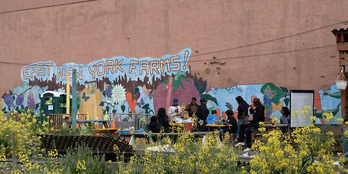 East New York Farms! Volunteer Days