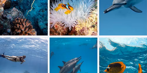 "Tribe of the sea" | Red Sea sailing adventure